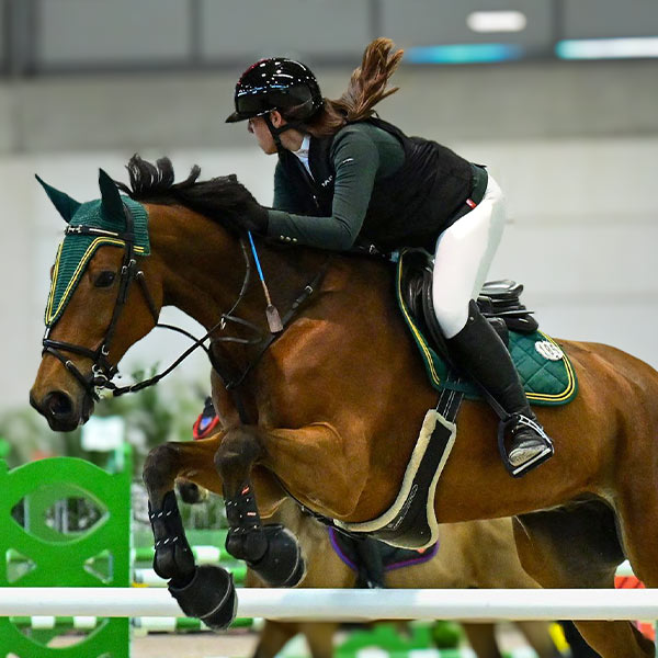 cheval_donner_lelan-v3b NOBILET Vet - Photographie cheval - Saut d'obstacle