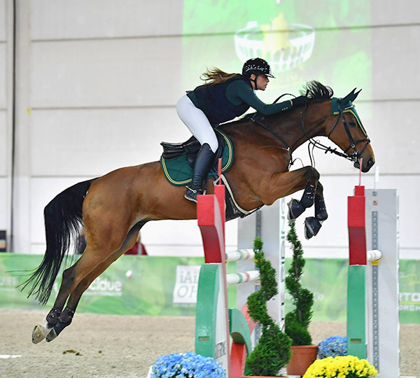 Cavalière saut d’obstacles